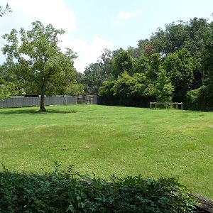 African Savanna - Thomson's Gazelle/Eland Exhibit
