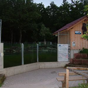 Otter Exhibit at Wildpark Pforzheim, 02/09/10