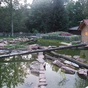 Otter Exhibit at Wildpark Pforzheim, 02/09/10