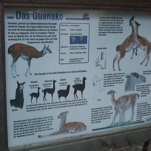 Signage Example at Wildpark Pforzheim, 02/09/10