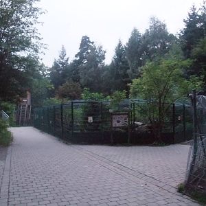 Carnivore Exhibits at Wildpark Pforzheim, 02/09/10