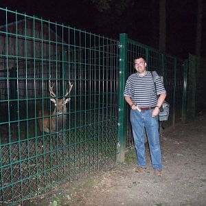 Zoogiraffe and the Night Sika at Wildpark Pforzheim, 02/09/10