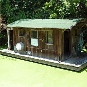 Louisiana Swamp - Alligator Exhibit + Houseboat