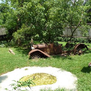 Louisiana Swamp - Raccoon Exhibit