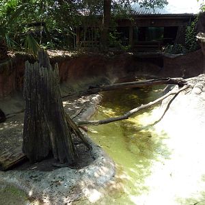 Louisiana Swamp - River Otter Exhibit