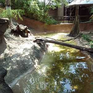 Louisiana Swamp - River Otter Exhibit