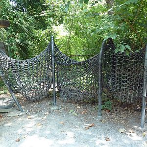 Louisiana Swamp - Alligator Trap