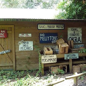 Louisiana Swamp - Signage