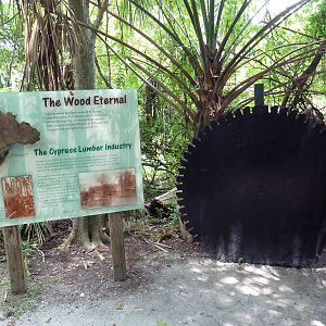 Louisiana Swamp - Signage