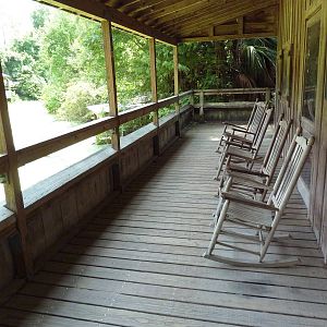 Louisiana Swamp - Alligator Exhibit Viewing Platform