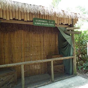 Jaguar Jungle - Market Stall