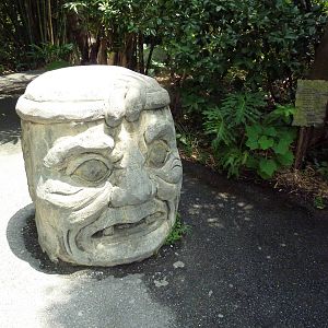 Jaguar Jungle - Visitor Pathway