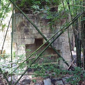 Jaguar Jungle - Visitor Pathway