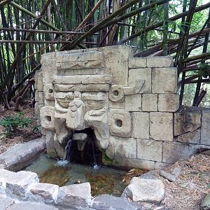 Jaguar Jungle - Visitor Pathway