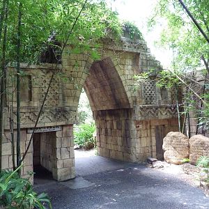 Jaguar Jungle - Visitor Pathway