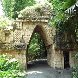 Jaguar Jungle - Visitor Pathway
