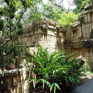 Jaguar Jungle - Visitor Pathway