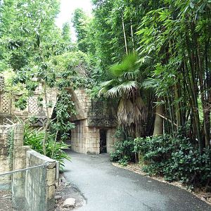 Jaguar Jungle - Visitor Pathway