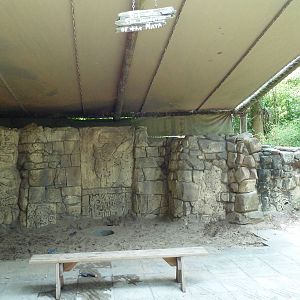 Jaguar Jungle - Dig Site