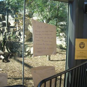 paper on exhibit glass