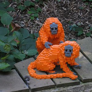 lego tamarins