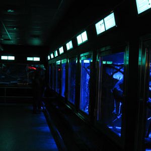 nocturnal hall of small mammal building