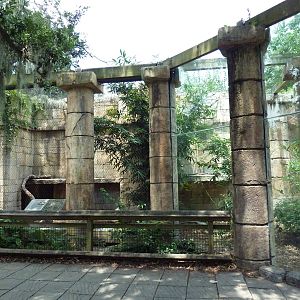 Jaguar Jungle - Jaguar Exhibit