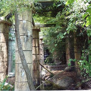 Jaguar Jungle - Jaguar Exhibit