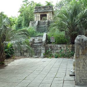 Jaguar Jungle - Visitor Pathway