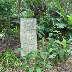 Jaguar Jungle - Visitor Pathway