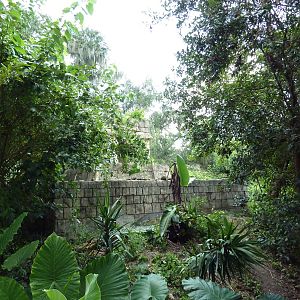 Jaguar Jungle - Visitor Pathway