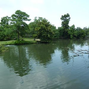 South American Pampas - Multi-Acre, Mixed-Species Exhibit