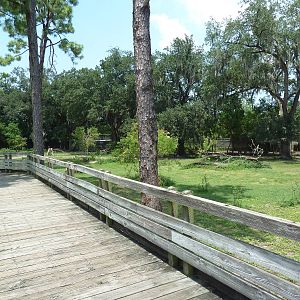 South American Pampas - Multi-Acre, Mixed-Species Exhibit