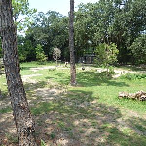 South American Pampas - Multi-Acre, Mixed-Species Exhibit