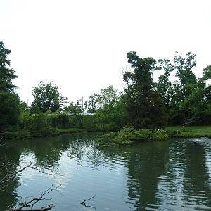 South American Pampas - Multi-Acre, Mixed-Species Exhibit