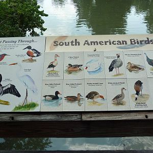 South American Pampas - Multi-Acre, Mixed-Species Exhibit