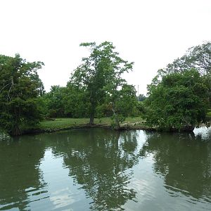 South American Pampas - Multi-Acre, Mixed-Species Exhibit