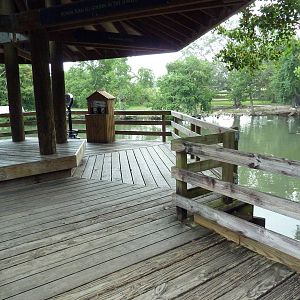 South American Pampas - Multi-Acre, Mixed-Species Exhibit