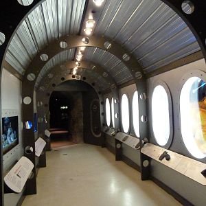 Inside US Antiquities