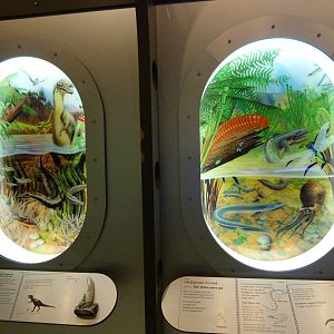 Prehistoric Creatures