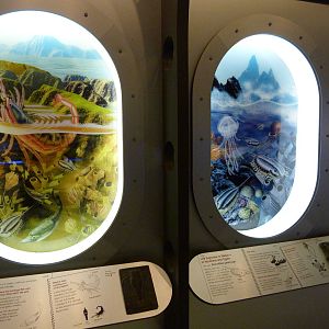 Prehistoric Creatures