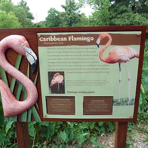 Caribbean Flamingo Exhibit - Sign