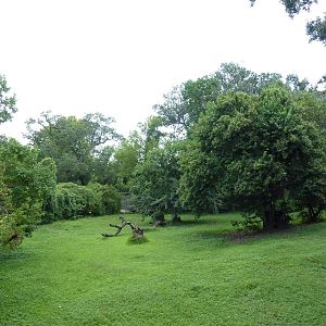 Maned Wolf/Giant Anteater Exhibit