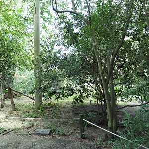 Austral/Asian Walk-Through Aviary