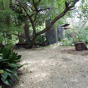 Austral/Asian Walk-Through Aviary