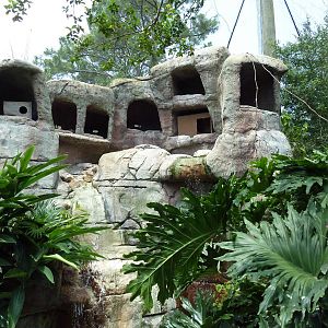 Austral/Asian Walk-Through Aviary