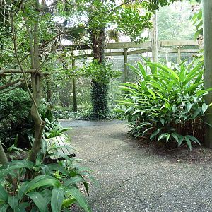 Austral/Asian Walk-Through Aviary