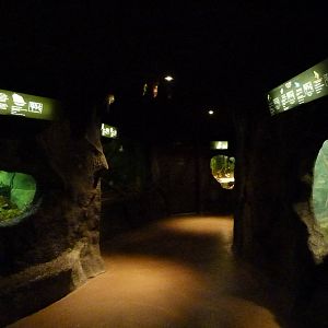 USS Antiquities -- further into the exhibit