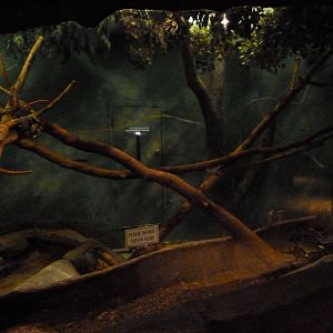 Blood & Reticulated Python Exhibit