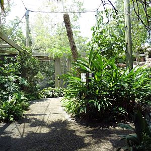 Austral/Asian Walk-Through Aviary